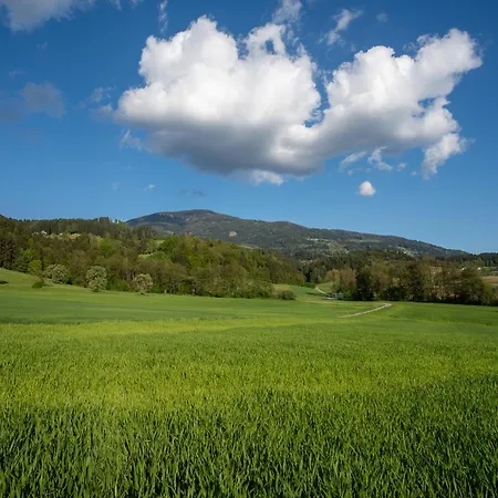 Landhaus Apartment * Maildorf